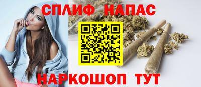 СК Абинск