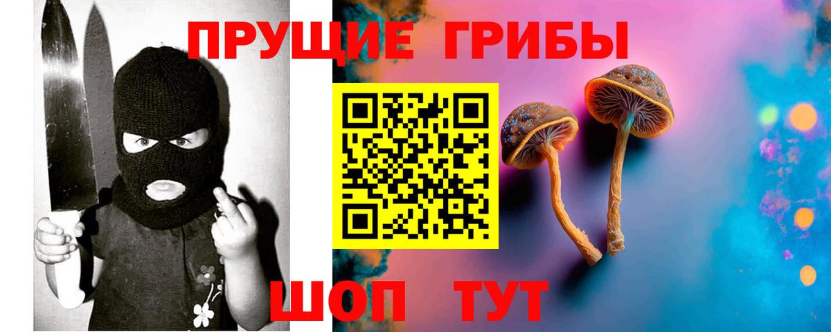 магазин продажи наркотиков  Псилоцибиновые грибы прущие грибы  Вход с VPN  Алушта  Галлюциногенные грибы прущие грибы 
