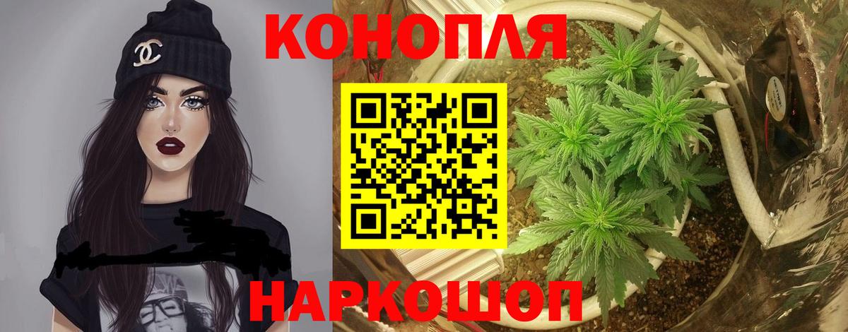 Алушта  Бошки Шишки тримм  Вход с VPN  Бошки марихуана гибрид 
